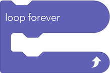 Loop Forever (Цикл назавжди)